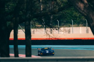 20	Debard Automobiles by Racetivity	Ford GT Matech	&Eacute;ric DEBARD	Philippe GIAUQUE