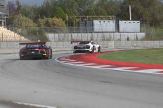#88 - Pursuit Racing - Audi R8 LMS - Harvey STANLEY (GBR) - Christoff COWENS (GBR), 03/10/2026 BARCELONA
