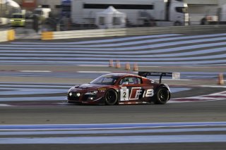 #2 - Classic & Speed - Audi R8 LMS Ultra - Marcus von OEYNHAUSEN (GER), 10/04/2026 Paul Ricard
