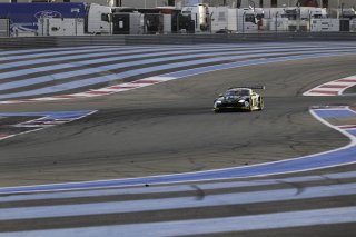 #13 - Team Parker Racing - Aston Martin V12 Vantage GT3 - Shaun LYNN (GBR), 10/04/2026 Paul Ricard
