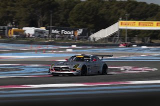 #65 - Team Motopark - Mercedes-Benz SLS AMG GT3 - Heiko NEUMANN (GER), 11/04/2026 Paul Ricard
