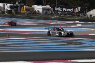 #65 - Team Motopark - Mercedes-Benz SLS AMG GT3 - Heiko NEUMANN (GER), 11/04/2026 Paul Ricard
