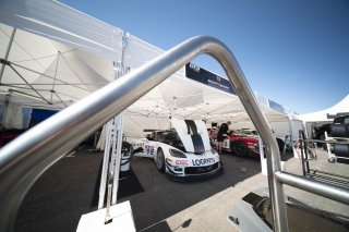 #15 - Scott Sport - Corvette C6 Z06R GT3 - Dan HENREY (GBR), 10/04/2026 Paul Ricard, Mathis JULLIA
